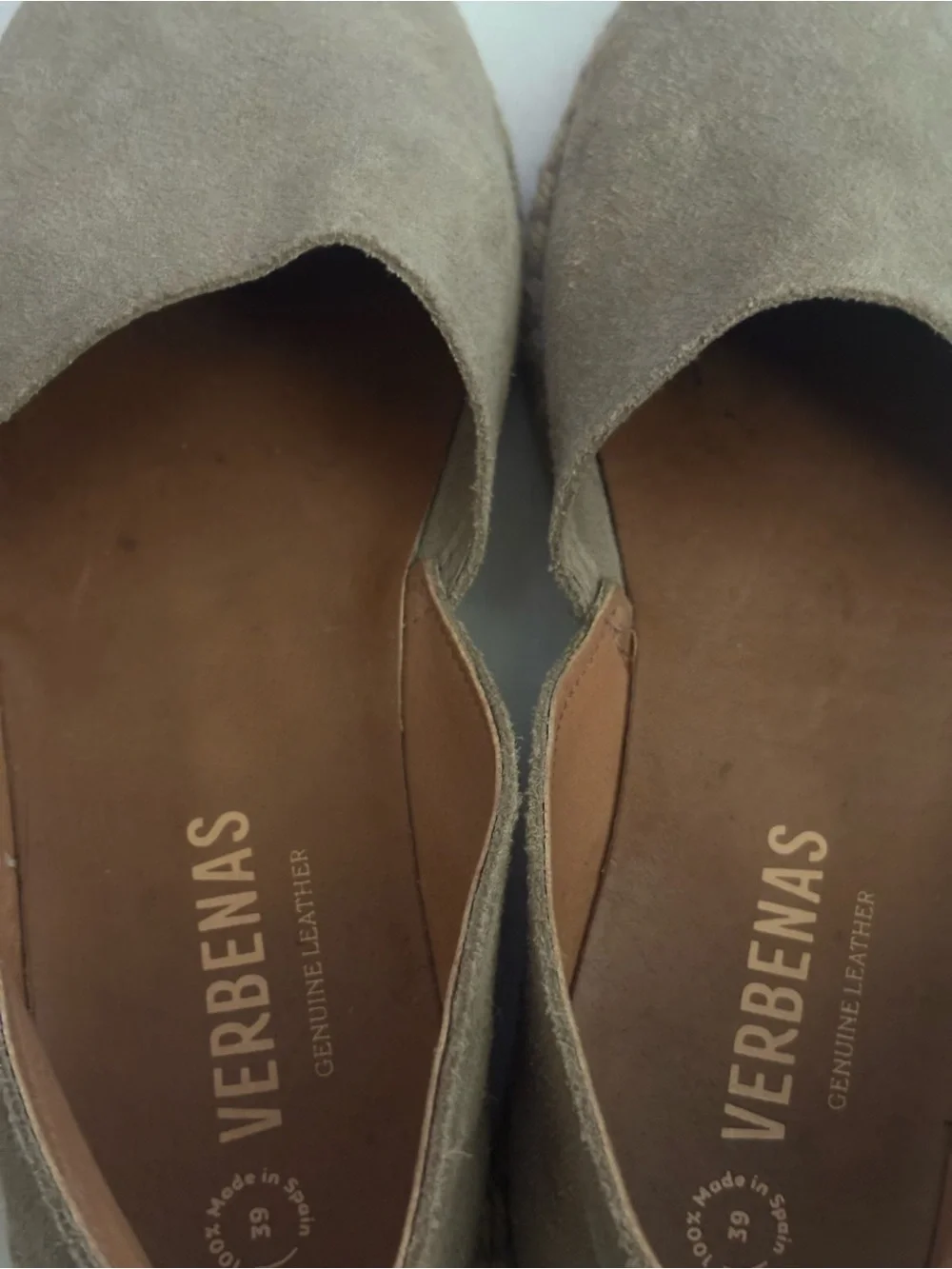 N/A brand verbenas